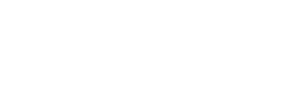 RapidData